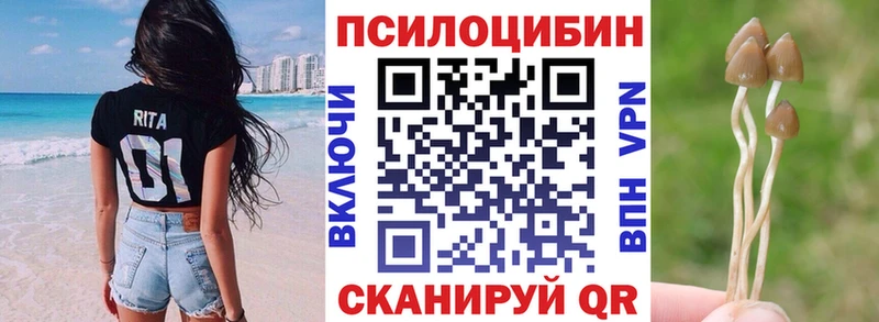 Псилоцибиновые грибы ЛСД как найти закладки Елабуга