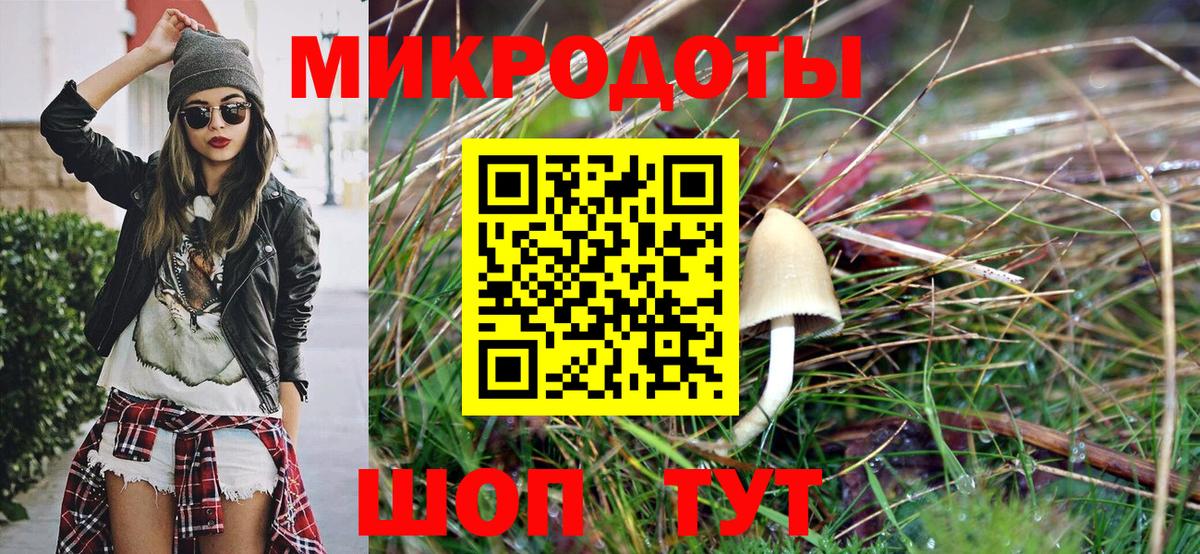 Галлюциногенные грибы Psilocybe  Вход с VPN  хочу   Елабуга 